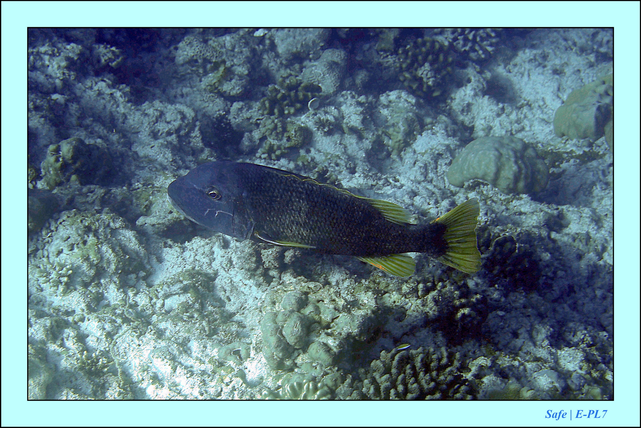 2023 - 07 - Sandies Bathala - 112